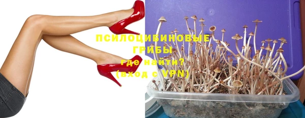 хмурый Армянск