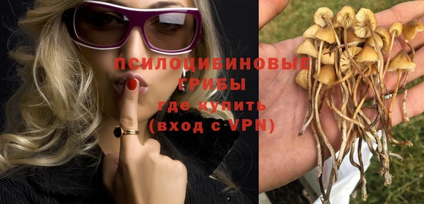 хмурый Армянск