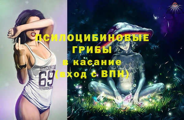 МДПВ Арсеньев