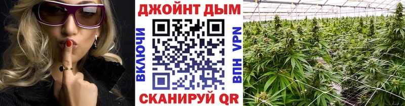 blacksprut рабочий сайт Чернушка Канабис сатива